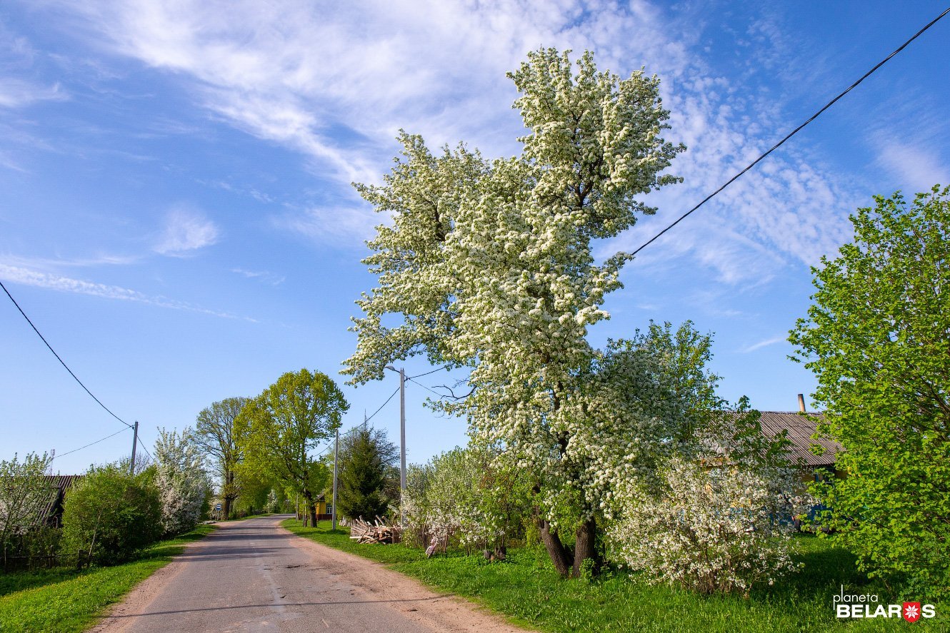 2018-05-05-5--4294_1330.jpg